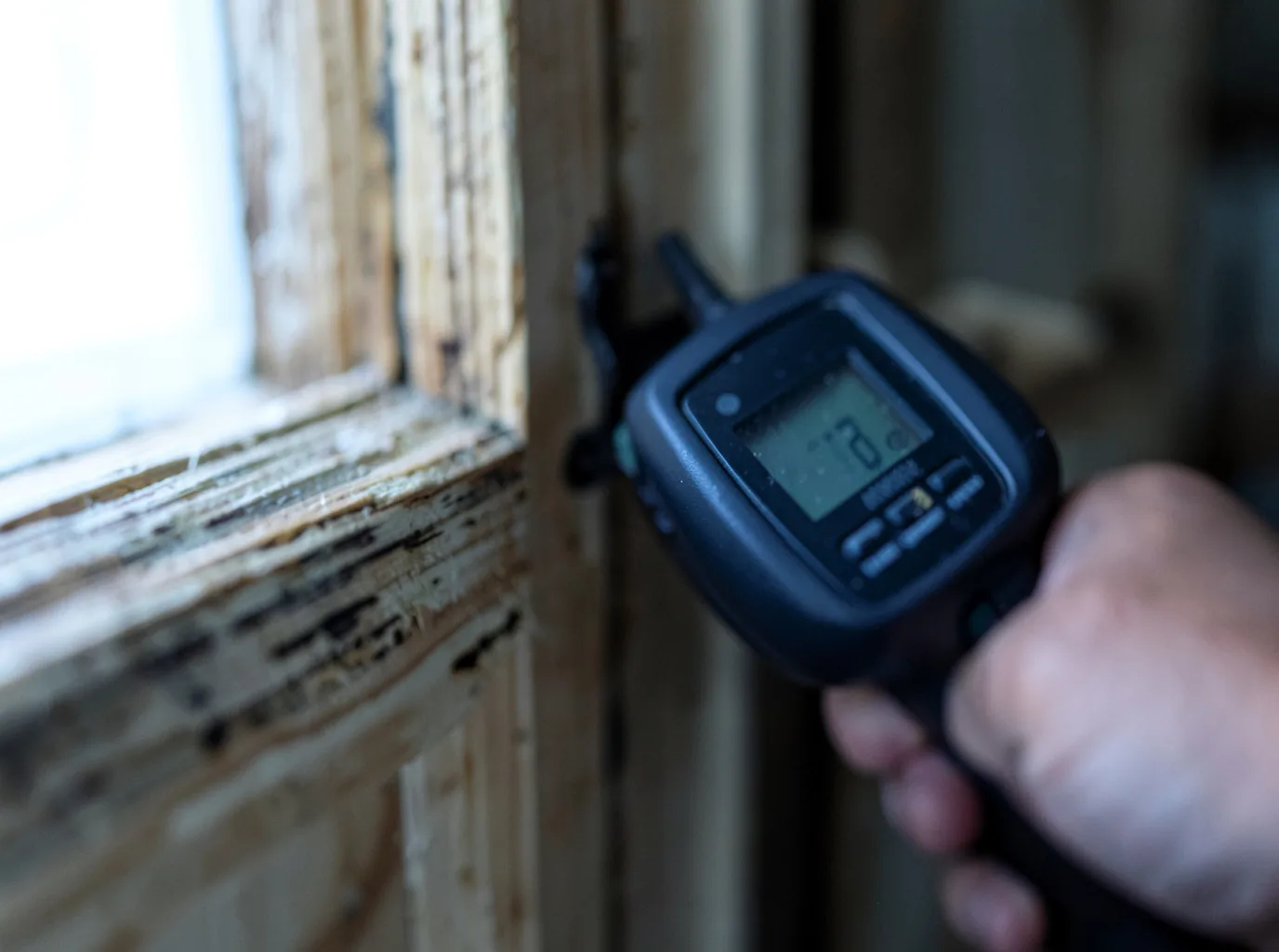 Water Damage Restoration Wachapreague, VA FAQs